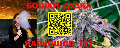 МДПВ Будённовск