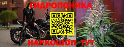 ECSTASY Бузулук